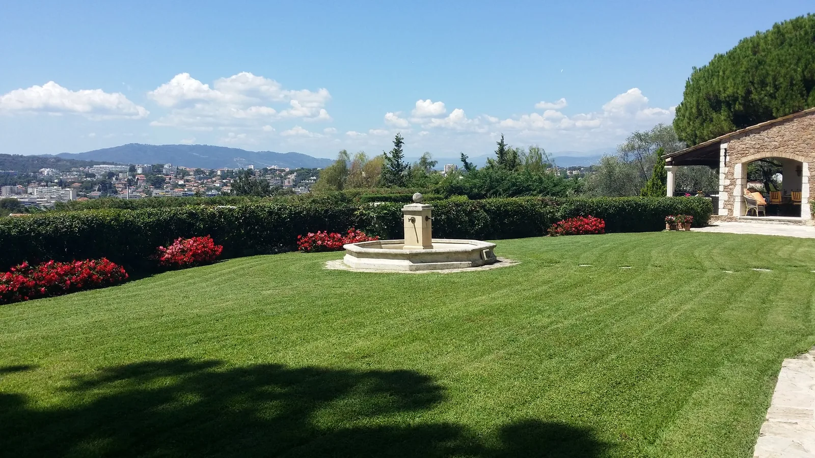 Lawn arranged around a fountain