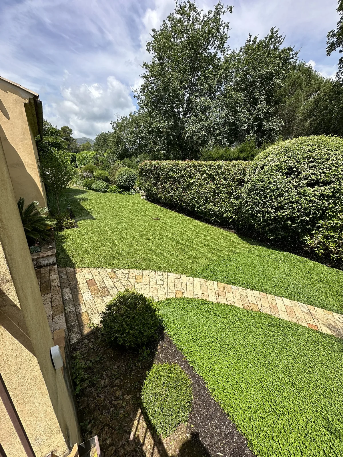 Surface végétale et haies dans un jardin