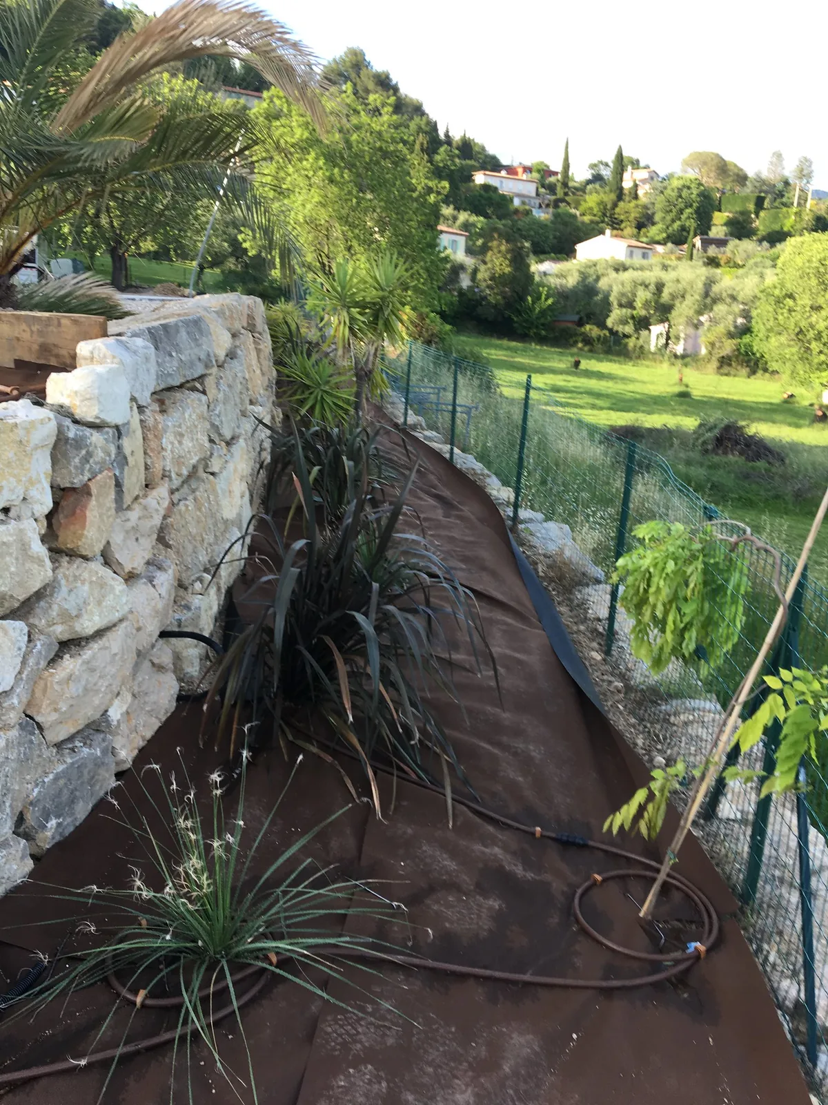 Cheminement et plantations le long d’un muret