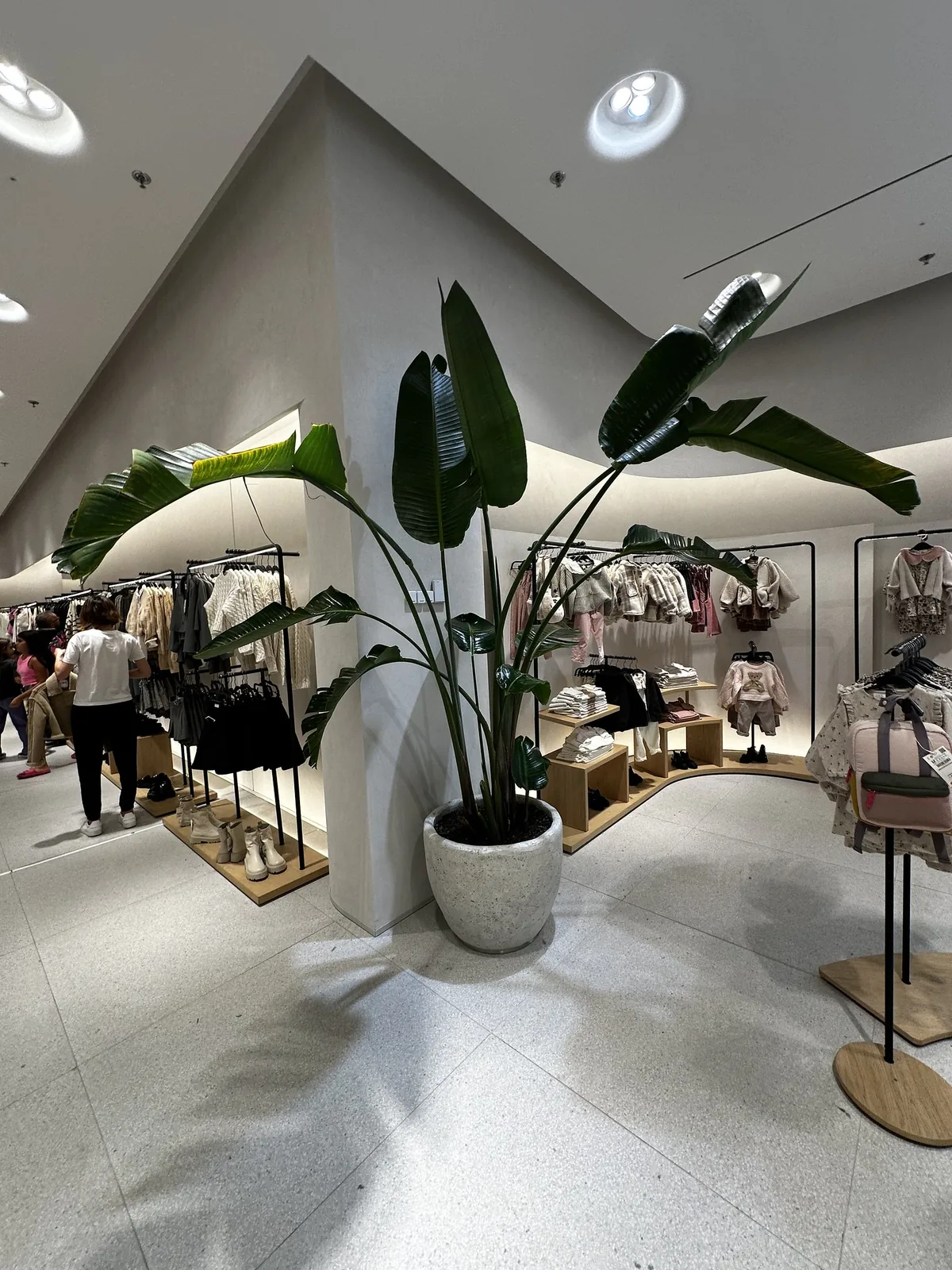 Plantes en pots dans un espace intérieur