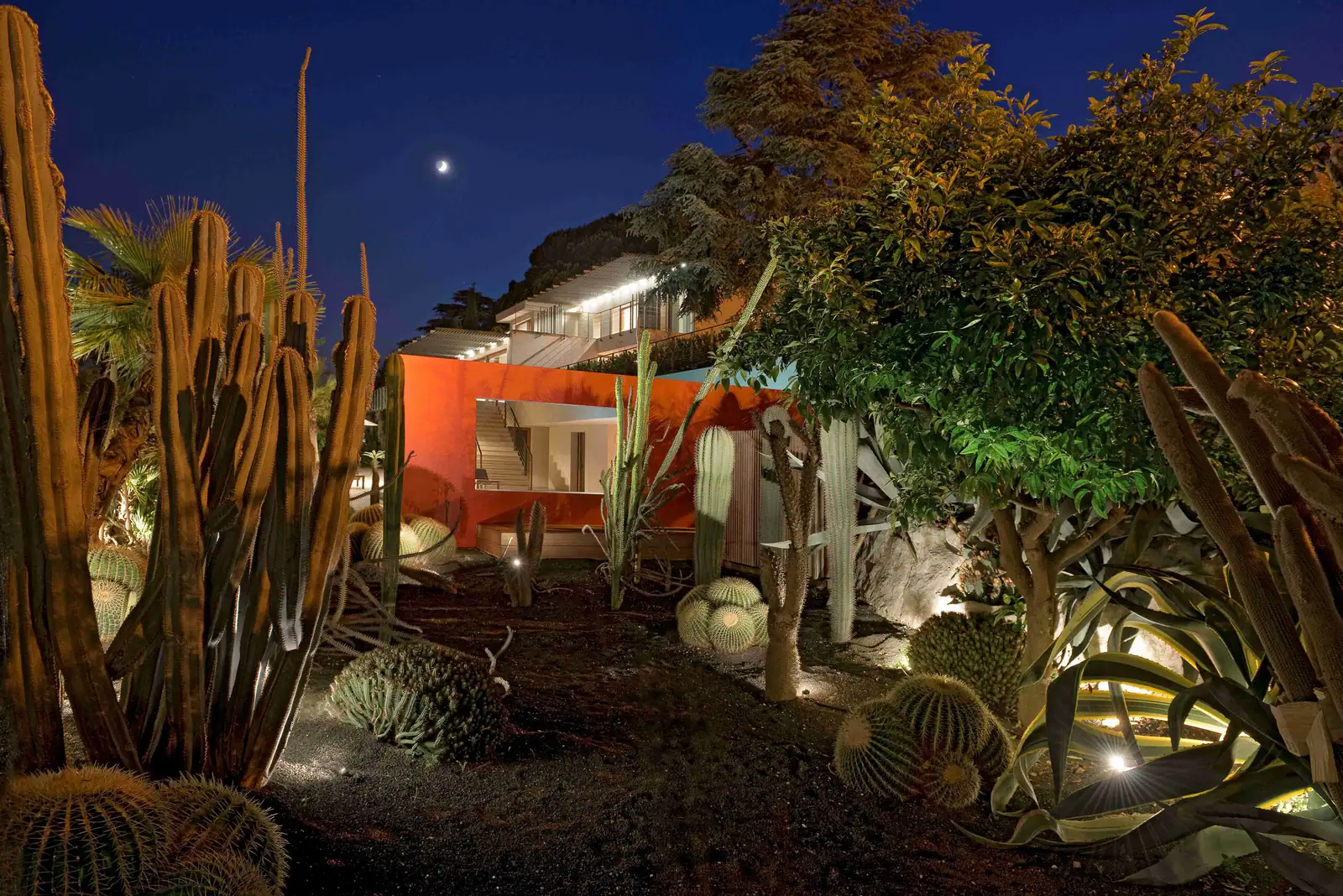 La nuit révèle le jardin